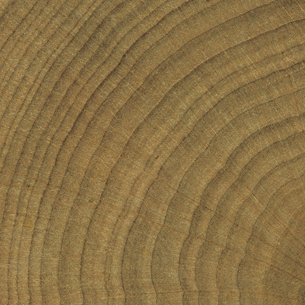 37042 Bath Walnut