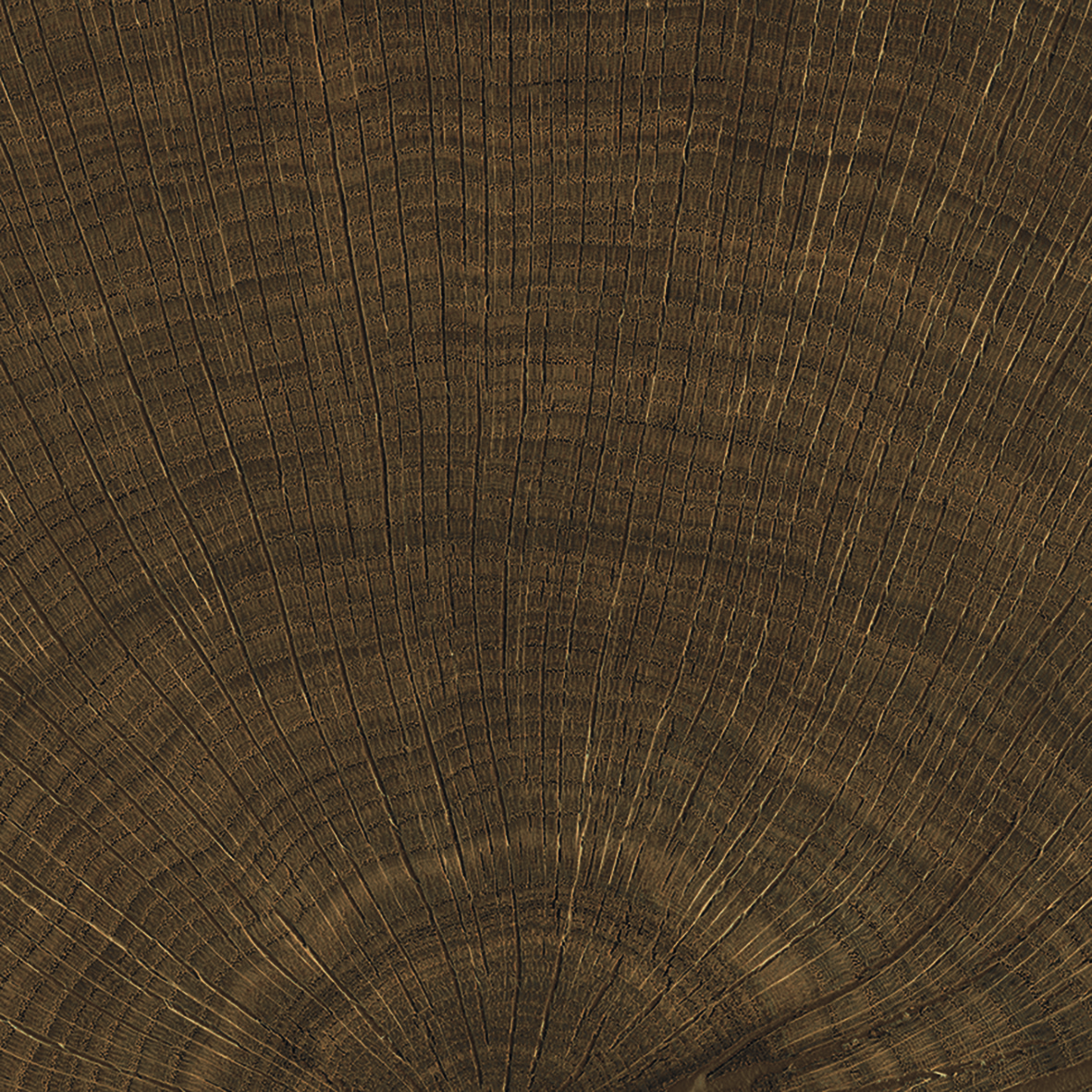 37042 Bath Wenge
