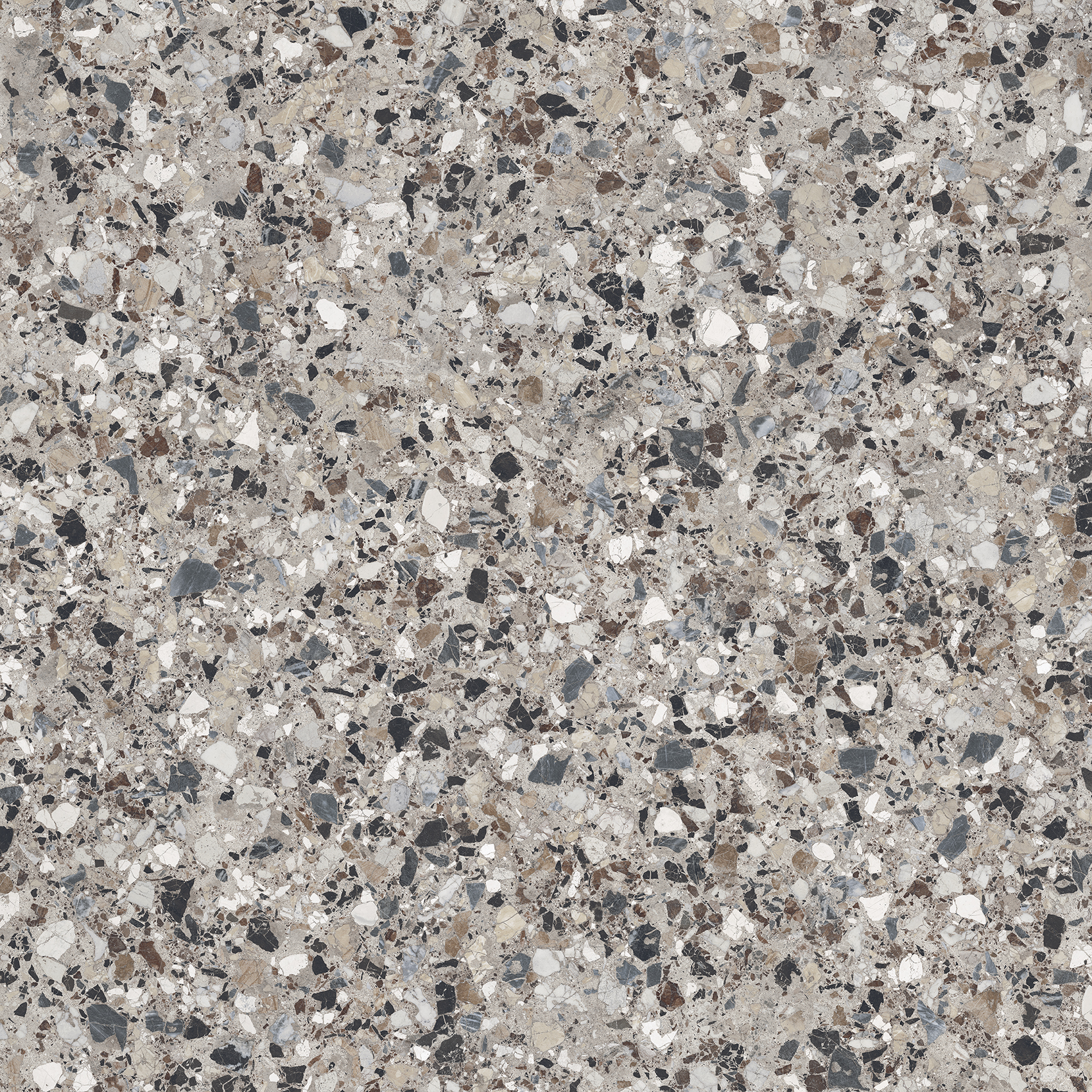 37005 Bologna Diorite