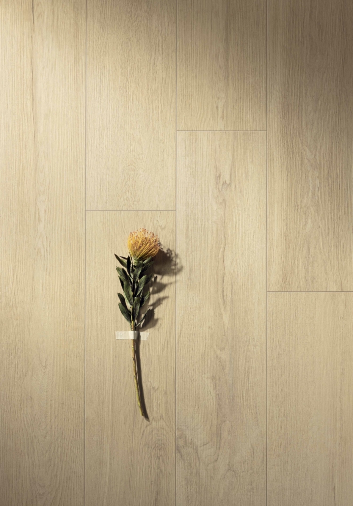 37015 Nimes Elm