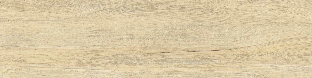 37015 Nimes Elm