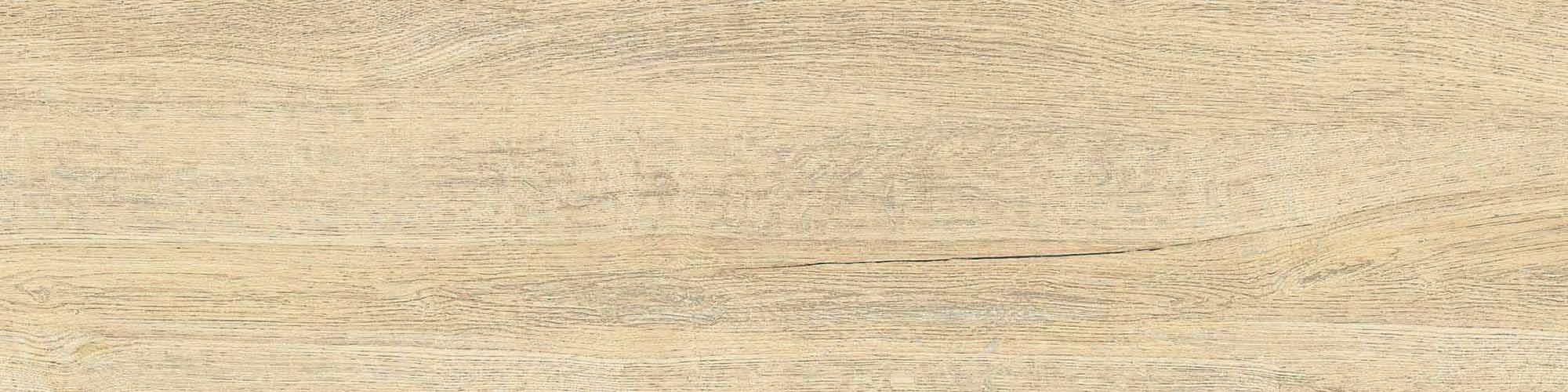 37015 Nimes Elm