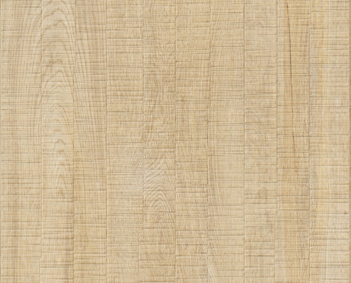 37015 Nimes Elm Cut Saw